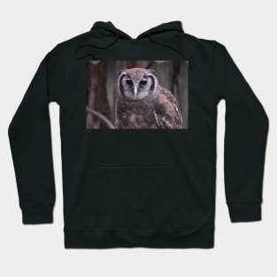 Milky Eagle Owl Hoodie